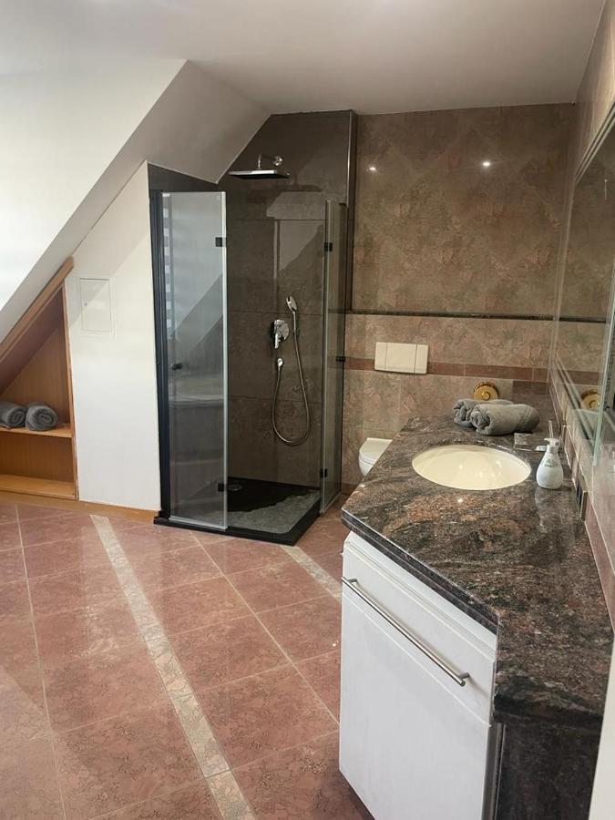 Luxurioese Wohnung Im Herzen Von Rlp Bobenheim-Roxheim Екстериор снимка